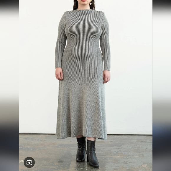 Mara Hoffman Jasmine Gray Ribbed Mock Neck Long Sleeve Dress size 1X - Picture 1 of 5